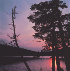 1995-6-9白駒の池