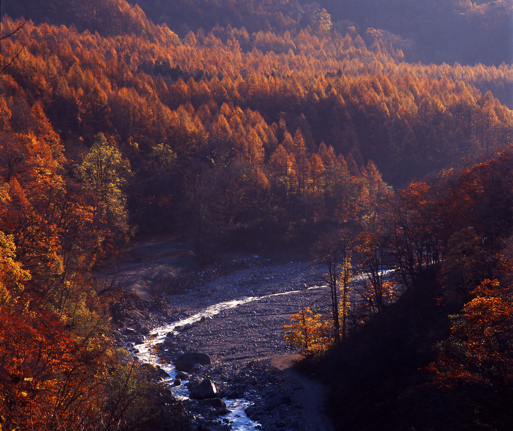 2003-10-27猿倉林道
