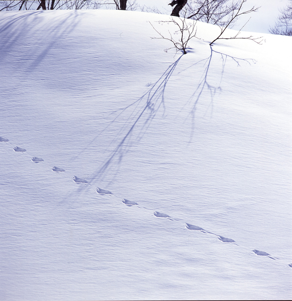 2004-2-24小谷温泉