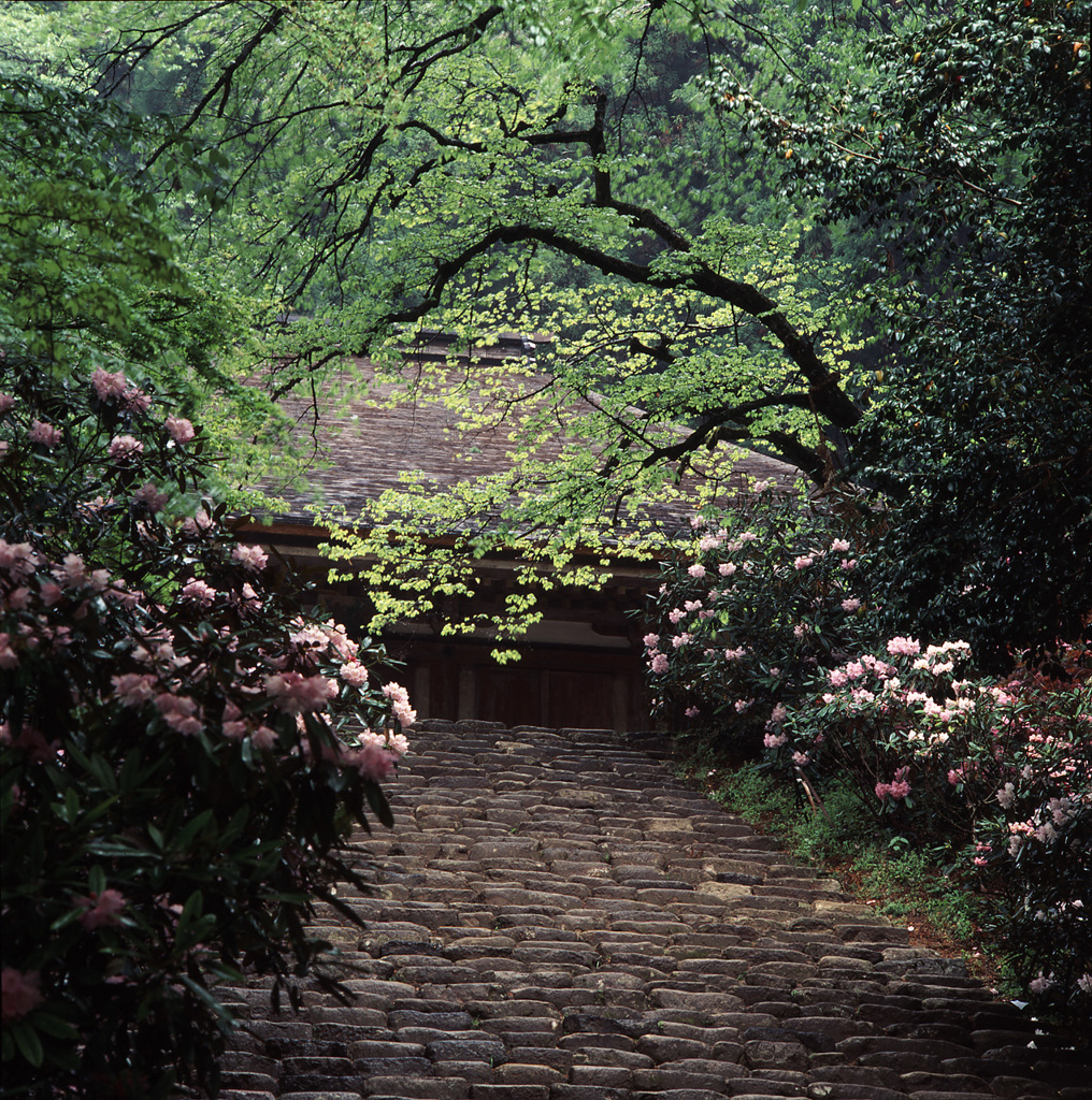 94-5-5室生寺