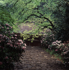 94-5-5室生寺