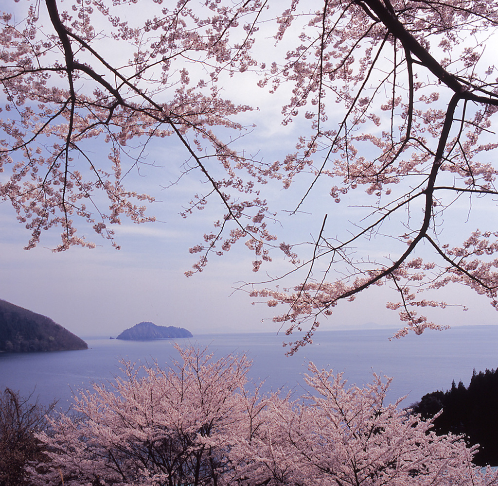 2004-4-15ー海津大崎