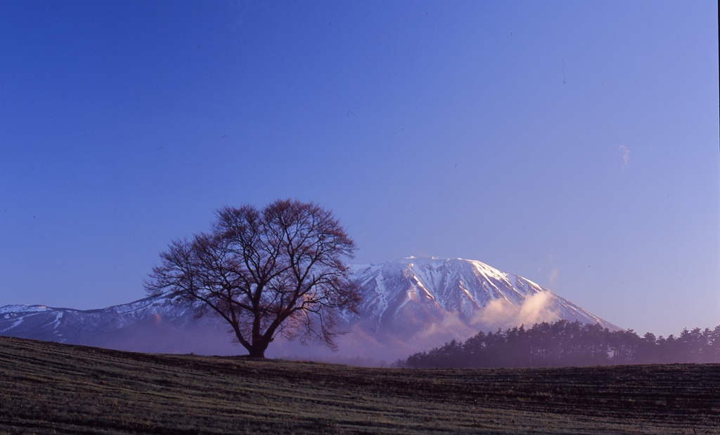 2004-5-1-小岩井牧場