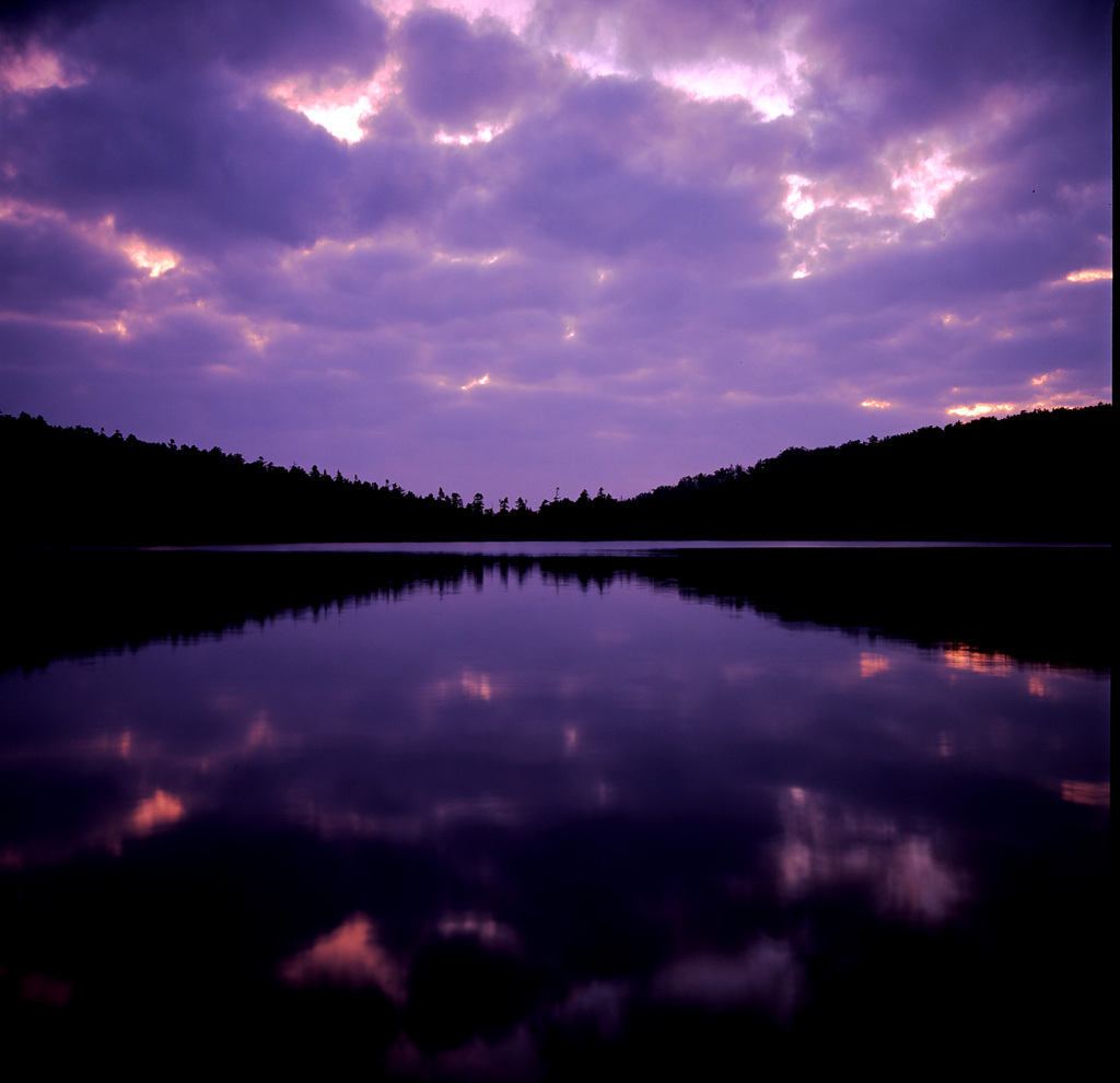 1995-6-11白駒の池