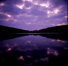 1995-6-11白駒の池