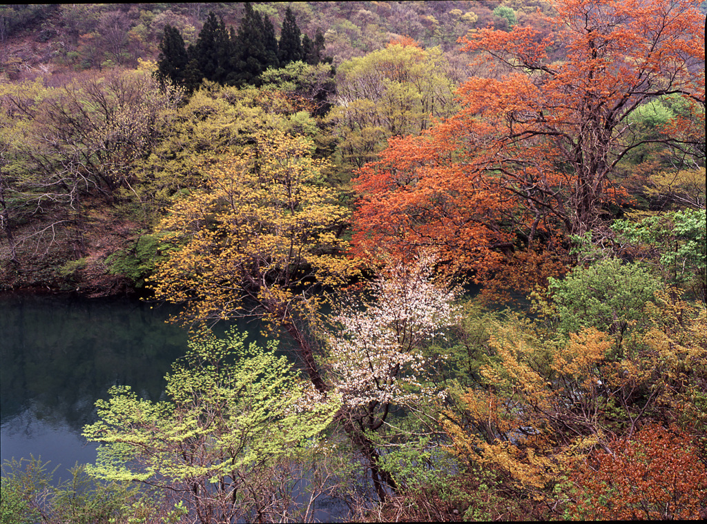 2004-4-29-樽口峠付近