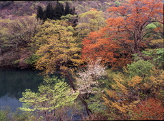 2004-4-29-樽口峠付近