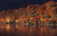 2000-10-16-栗駒山