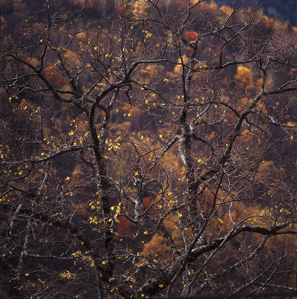 94-10-15阿房峠
