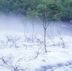 2003-5-15-鎌池付近2