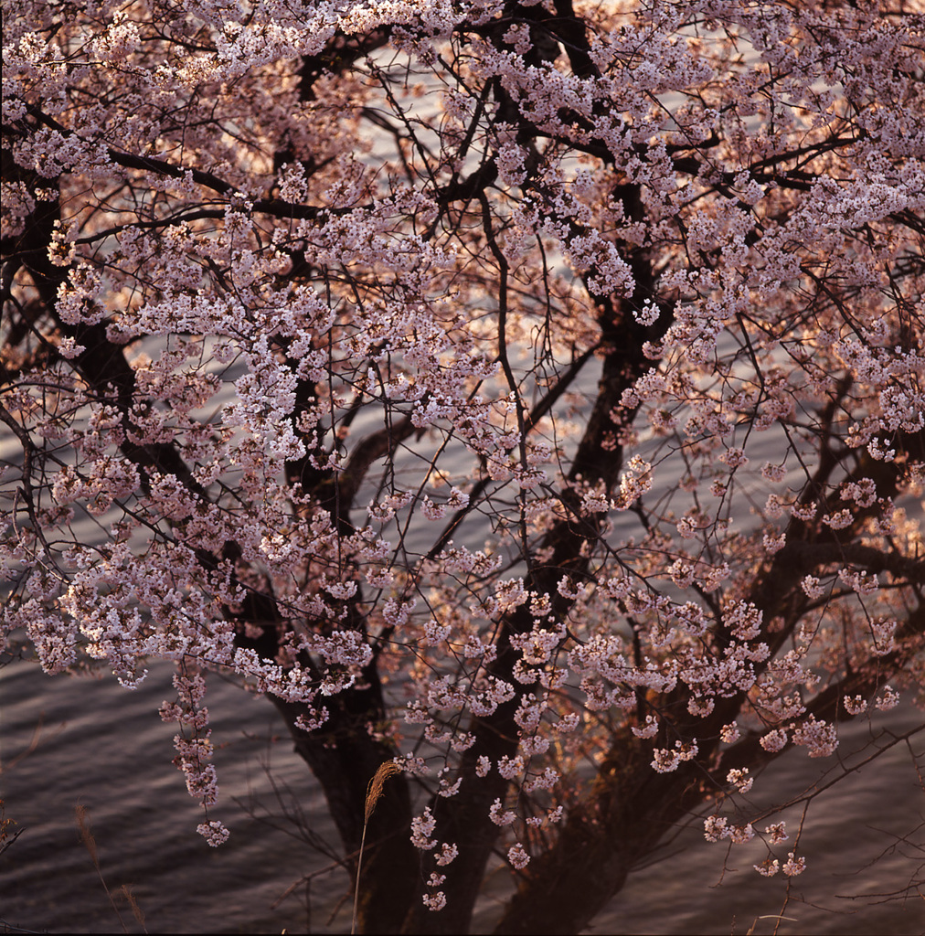 1996-4-16海津大崎