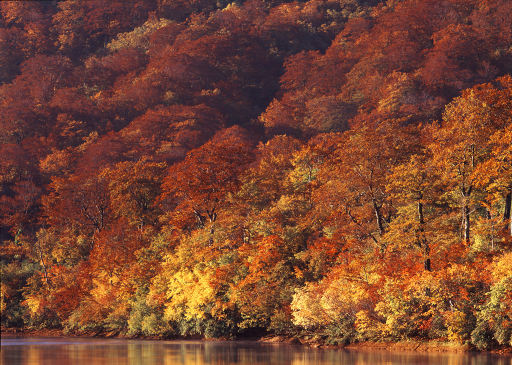 2000-10-16-栗駒山