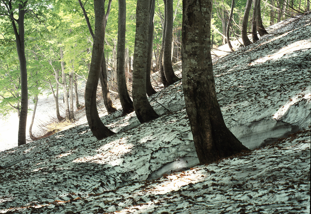 2003-5-30-鍋倉山3