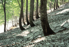 2003-5-30-鍋倉山3