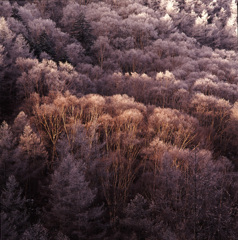 95-12-20スズラン峠