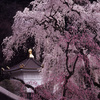 2004-3-30-久遠寺