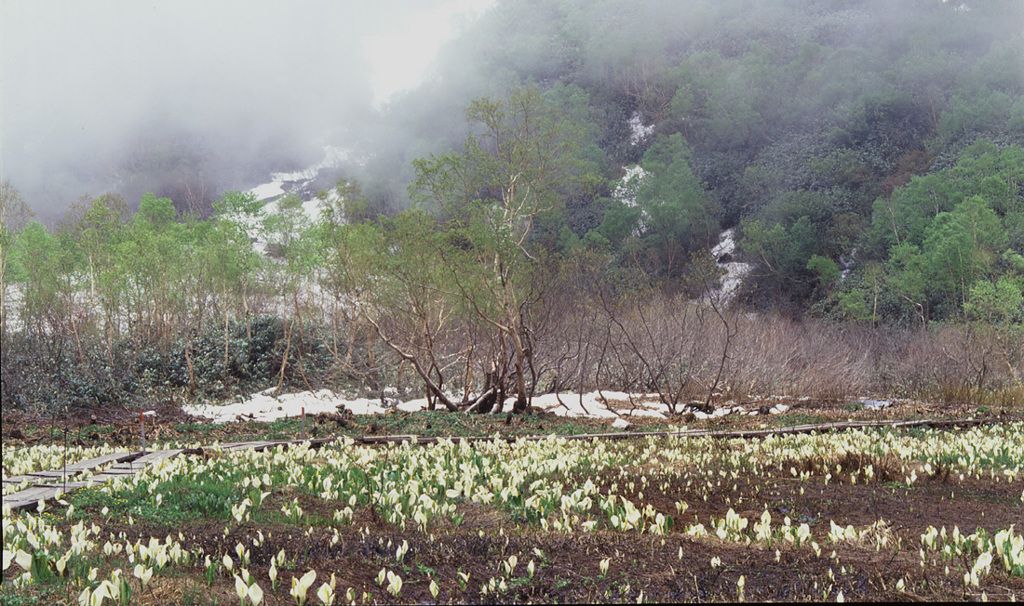 2002-6-15-栂池