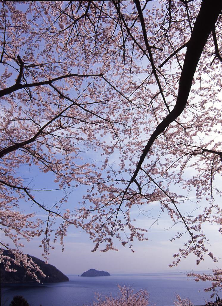 2004-4-15-海津大崎