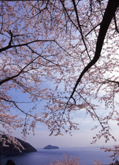 2004-4-15-海津大崎