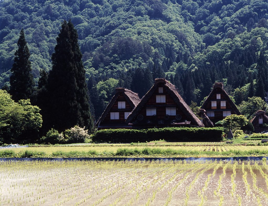2004-5-2-白川郷