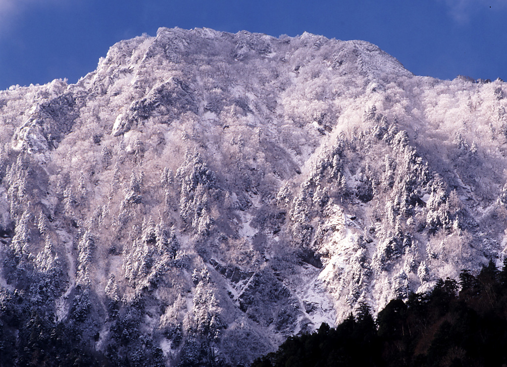 1998-11-20かじかより