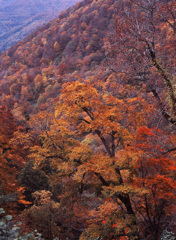 2003-10-17-小谷妙高林道