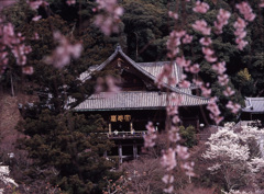 2004-4-10-長谷寺