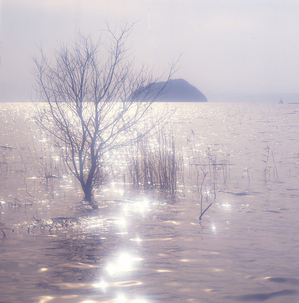 94-4-26湖北