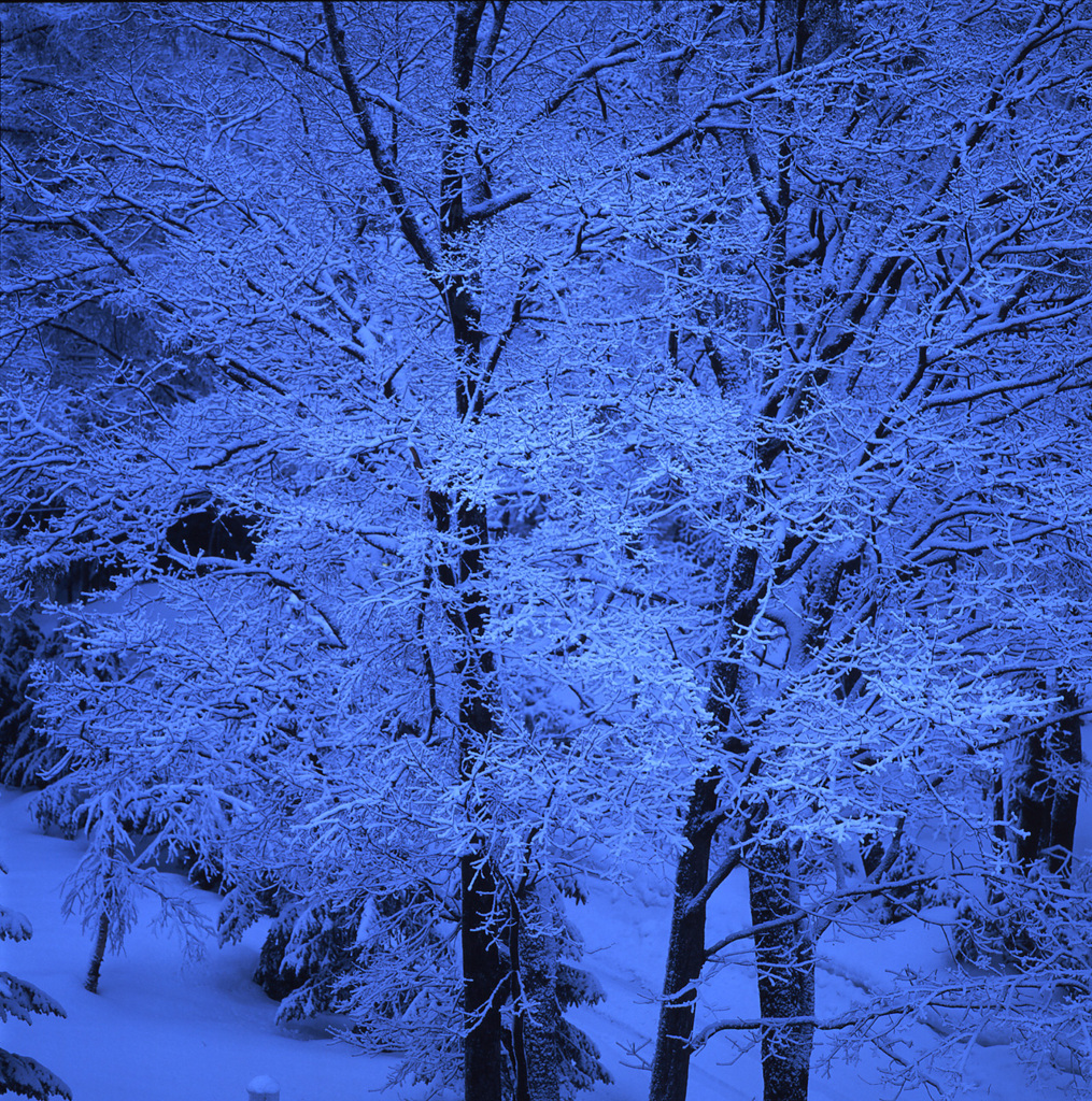 2003-3-2東急ホテル