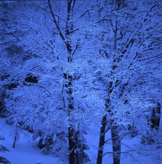 2003-3-2東急ホテル