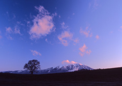 2004-5-1-小岩井牧場