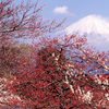 2000-3-1岩本山