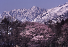 2004-4-20-大町