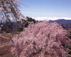 2004-4-20-小川村表立屋