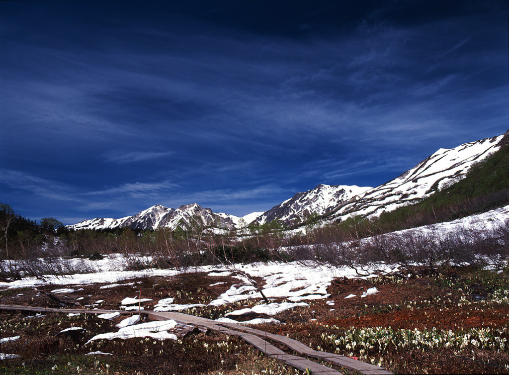 2002-6-10-栂池4