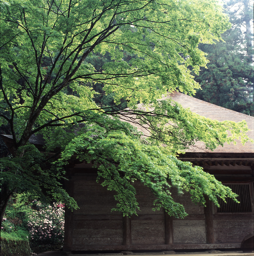 94-5-5室生寺