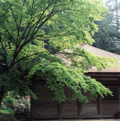 94-5-5室生寺