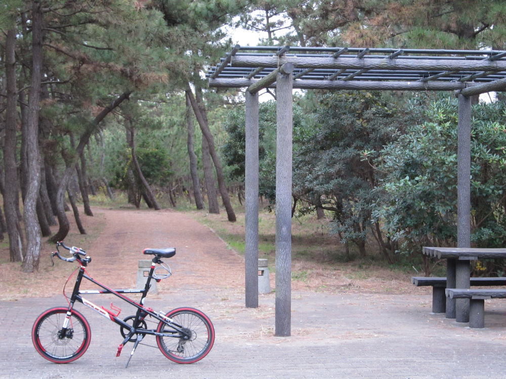 公園と自転車