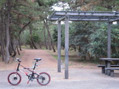 公園と自転車