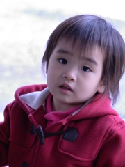 私の希望