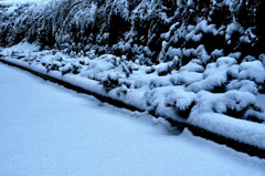 雪景色ー裏庭ー