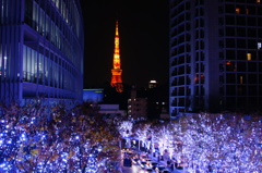 Roppongi Christmas illumination 2011
