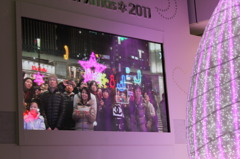 夢 2011