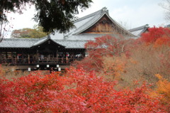 そうだぁ！東福寺に行こう