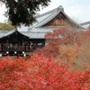 そうだぁ！東福寺に行こう