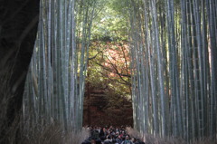嵐山に行こう