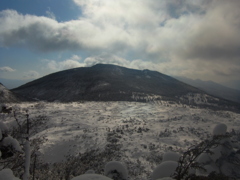 坪庭