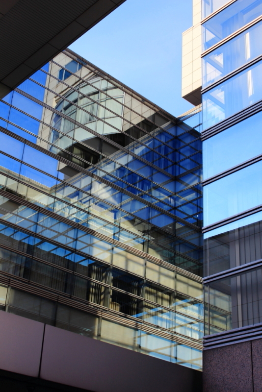 The world in the glass