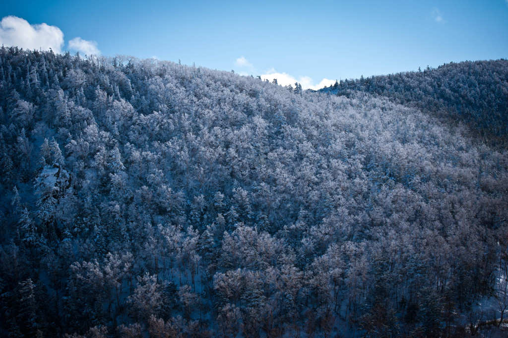 雪舞台