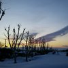 飛べそうな気がするー。